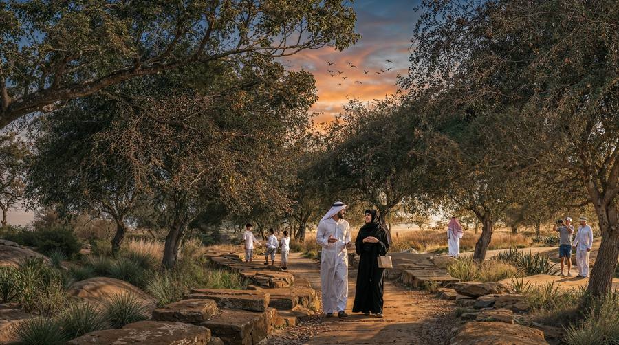 Al Masoudi Forest Destination