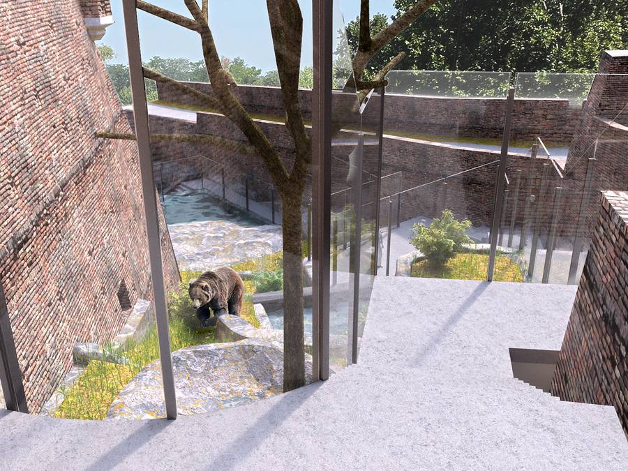 Bear Exhibit