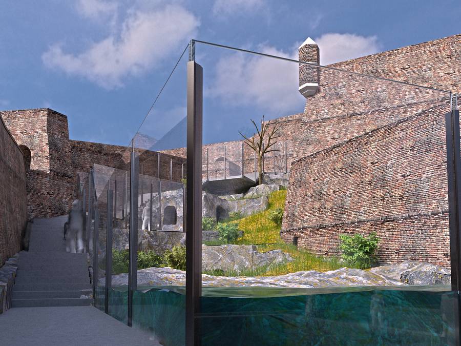 Bear Exhibit